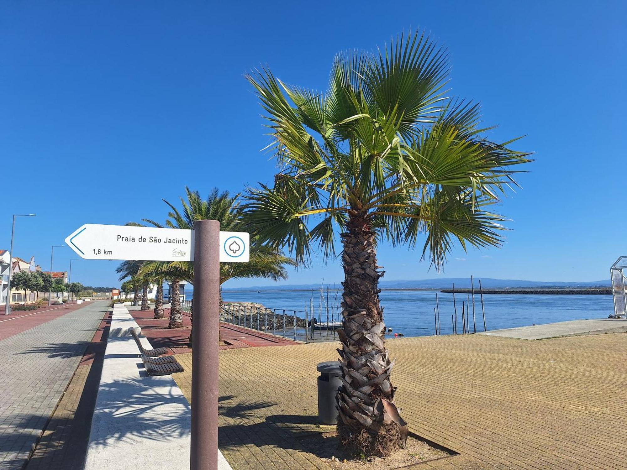 Apartment Close To The Ria De Aveiro, Sao Jacinto מראה חיצוני תמונה