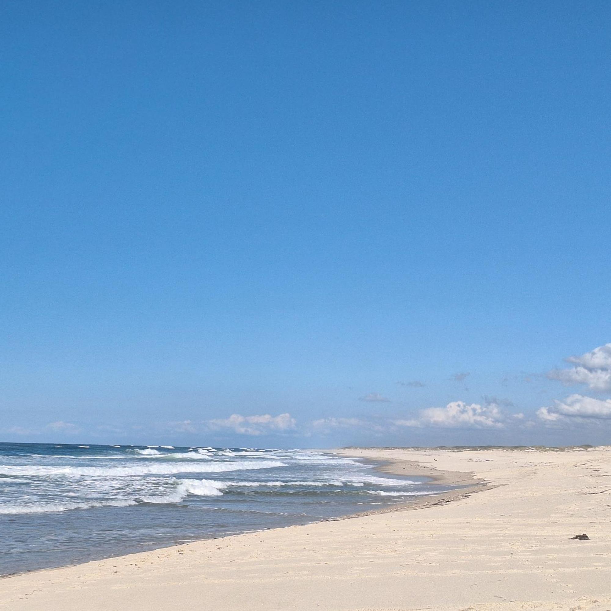 Apartment Close To The Ria De Aveiro, Sao Jacinto מראה חיצוני תמונה